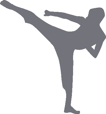 pictogramme arts martiaux charte graphique picto arts martiaux gif