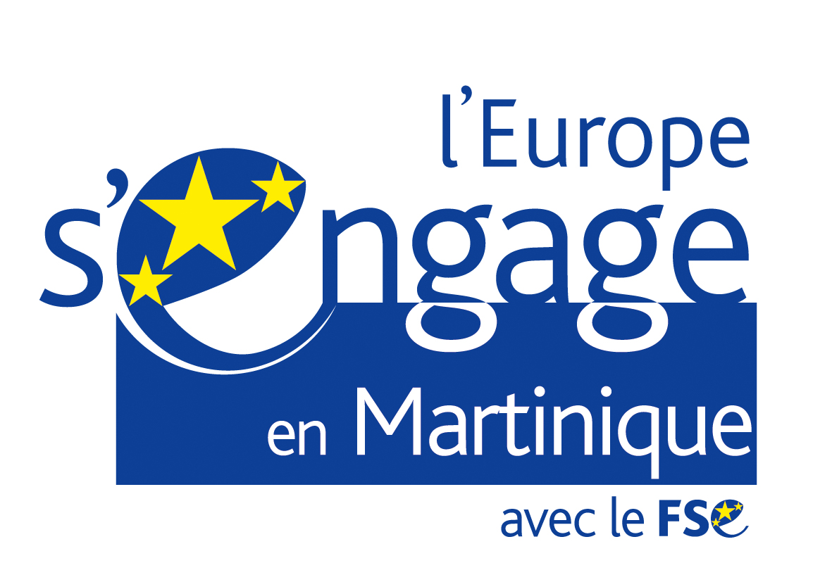FSE Logo Fond Social Européen Martinique
